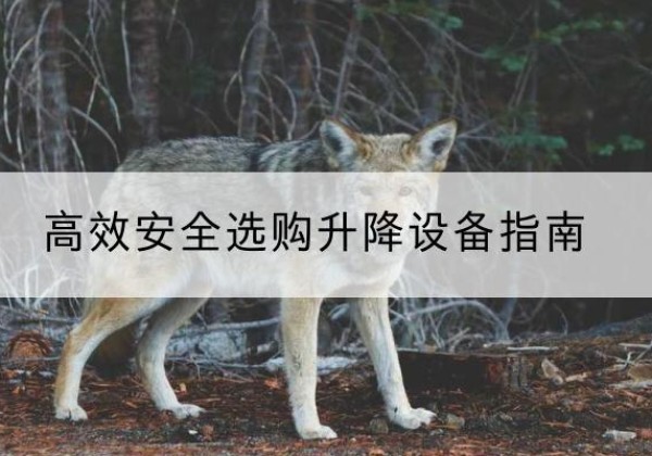冀州升降货梯厂家推荐-*安全选购升降设备指南
