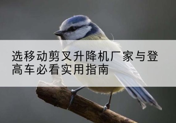 冀州电动升降机厂家-选移动剪叉升降机厂家与登高车必看实用指南