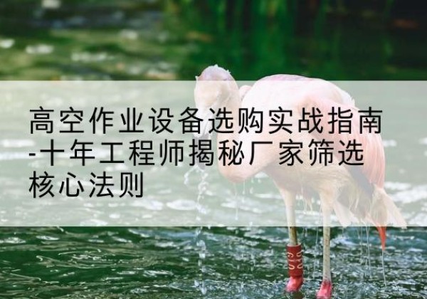 冀州剪叉式升降机厂家-高空作业设备选购实战指南-十年工程师揭秘厂家筛选核心法则